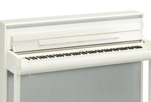 1558092265603-15.CLP685B Y WITH BENCH.3.jpg
